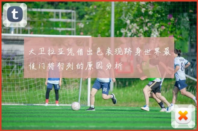 大卫拉亚凭借出色表现跻身世界最佳门将行列的原因分析