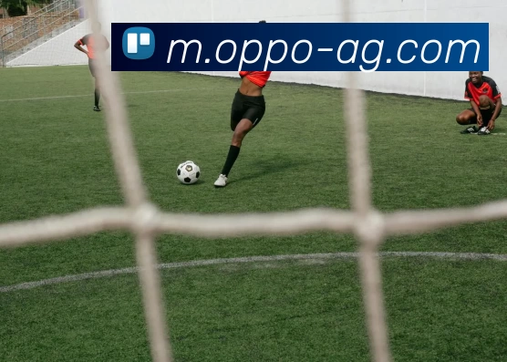 AG娱乐发展历程